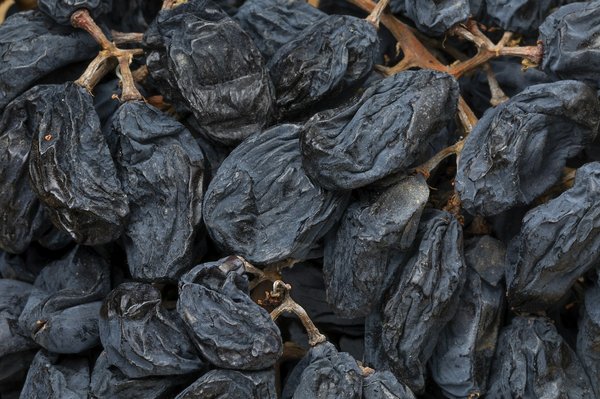 Quelles sont les options pour une location dans un domaine viticole en Alentejo avec vendanges participatives?